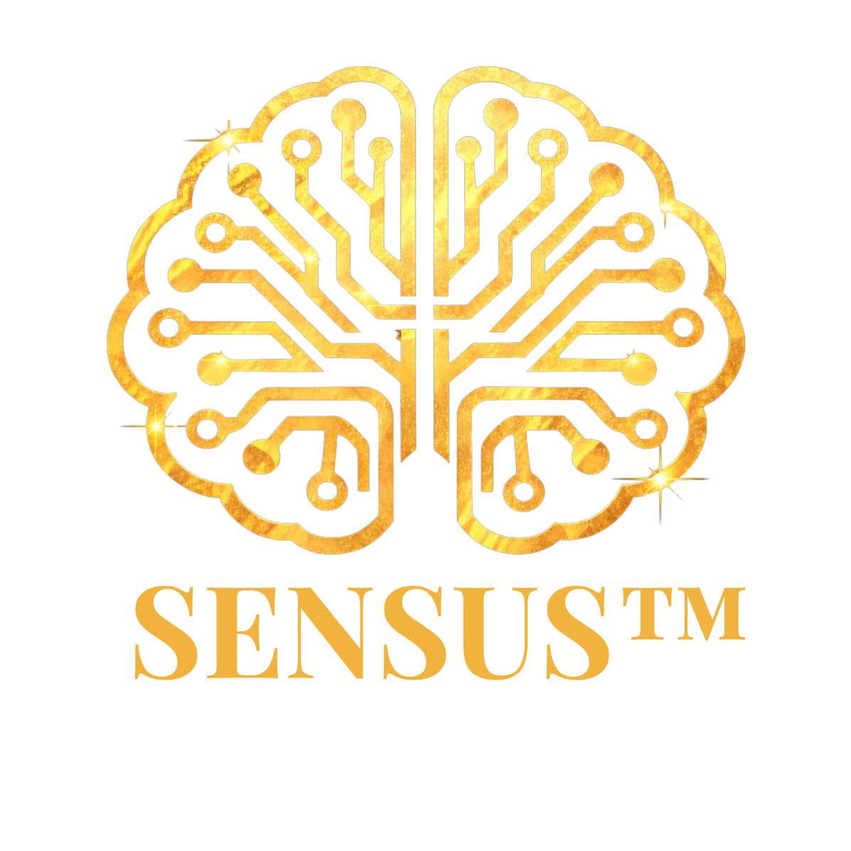 SENSUS INTELLIGENCE